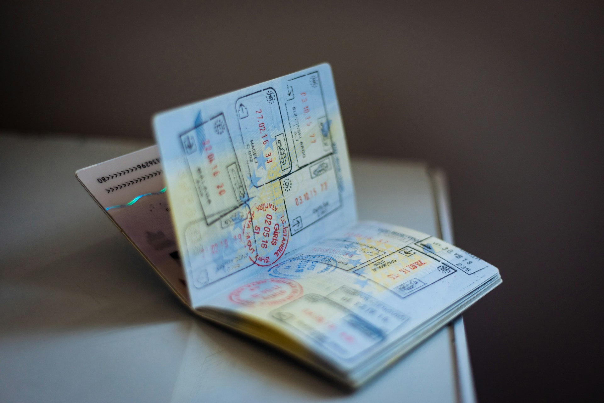 Dubai Visa Processing Services